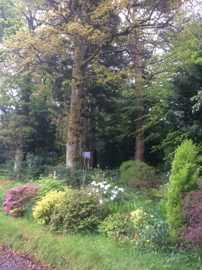 Bed and Breakfast Claremont House Keswick Keswick  Exterior foto